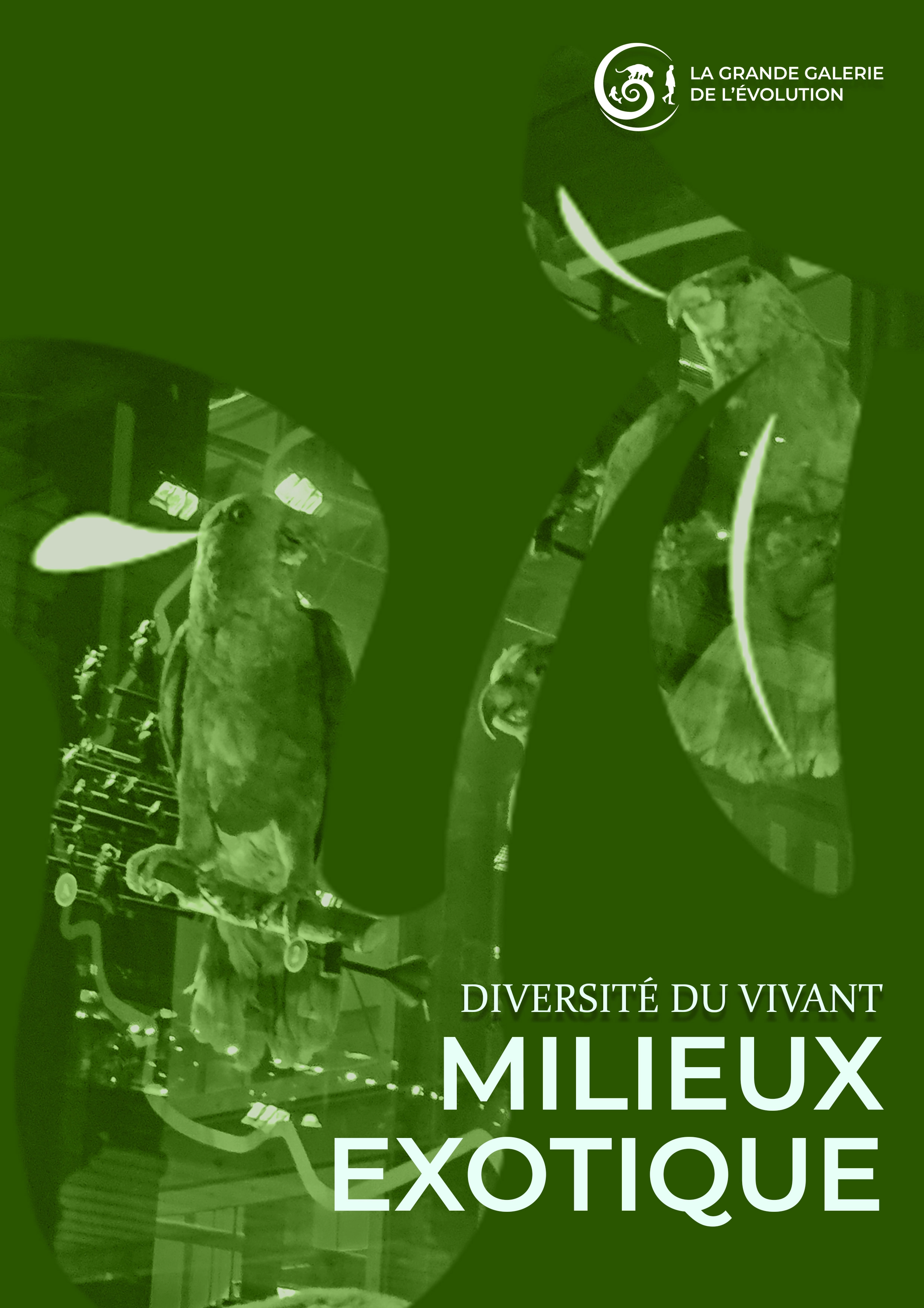 Affiche 3